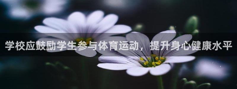 学校应鼓励学生参与体育运动，提升身心健康水平