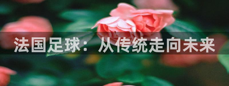 法国足球：从传统走向未来