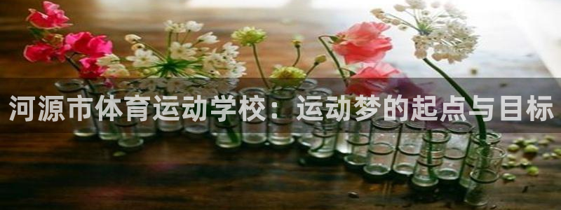 河源市体育运动学校：运动梦的起点与目标