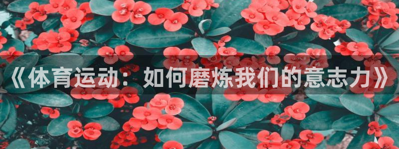 《体育运动：如何磨炼我们的意志力》