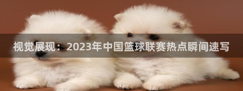 视觉展现：2023年中国篮球联赛热点瞬间速写
