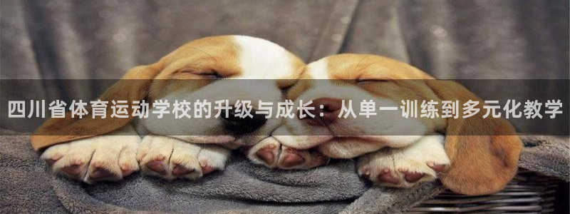 四川省体育运动学校的升级与成长：从单一训练到多元化教学