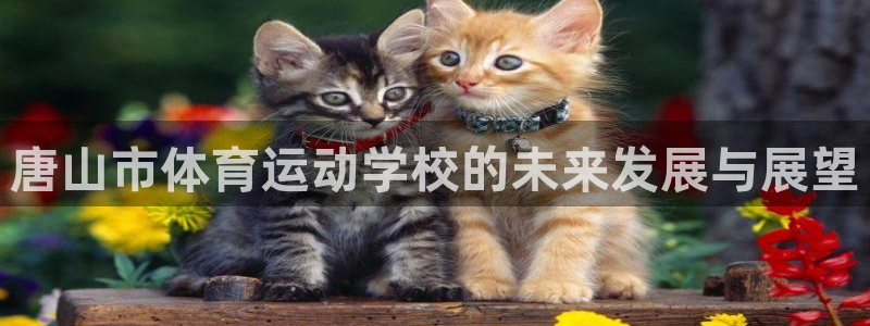 唐山市体育运动学校的未来发展与展望